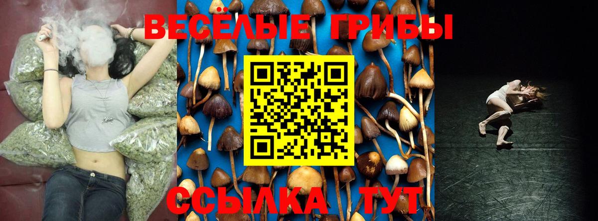 Псилоцибиновые грибы GOLDEN TEACHER  Вход с VPN  Шали 